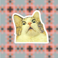 Scaredy Cat Sticker
