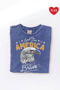 Land of Free America Plus Mineral Graphic Top