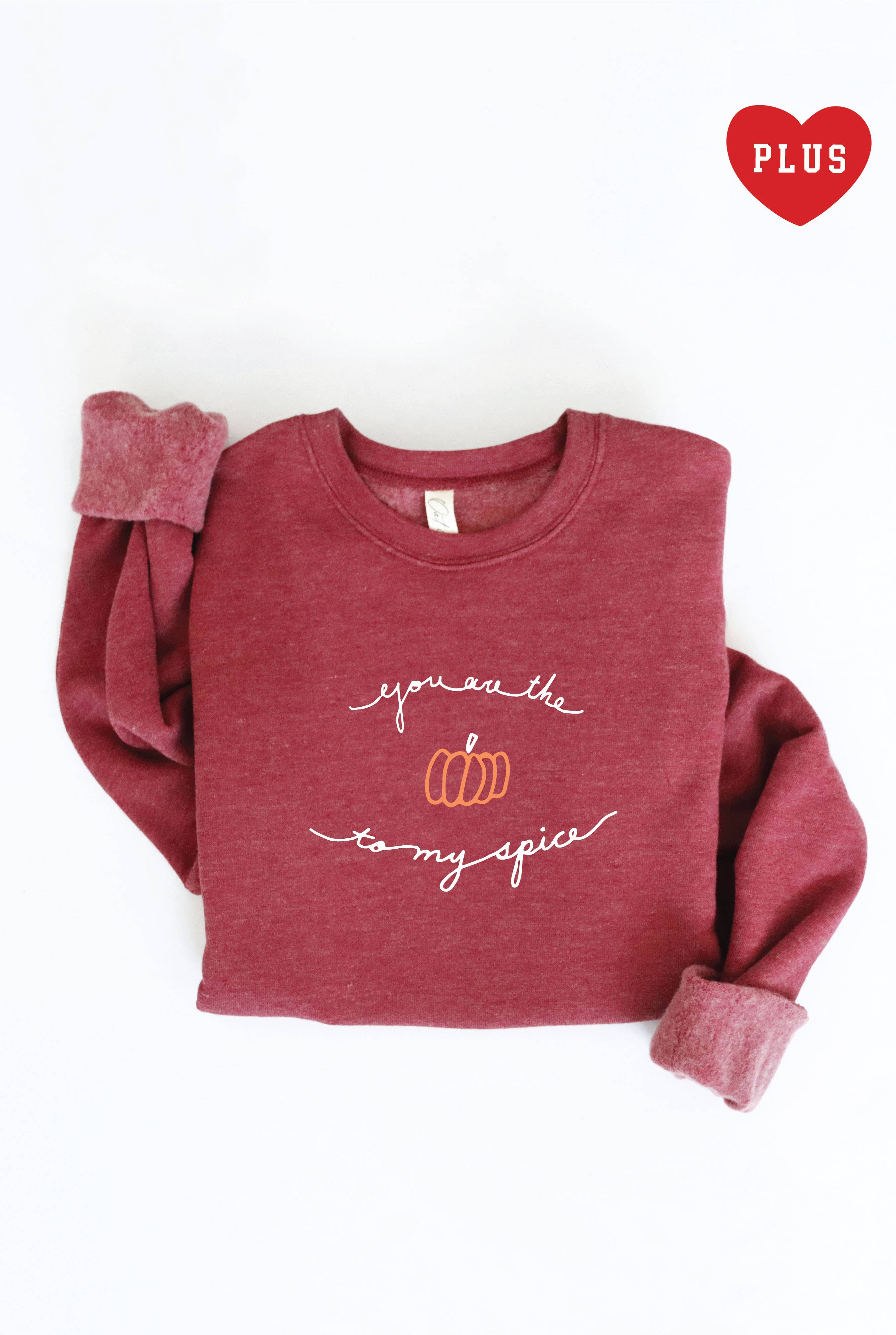 You Are the Pumpkin To My Spice Plus Graphic Sweatshirt
