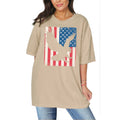American Flag Eagle
