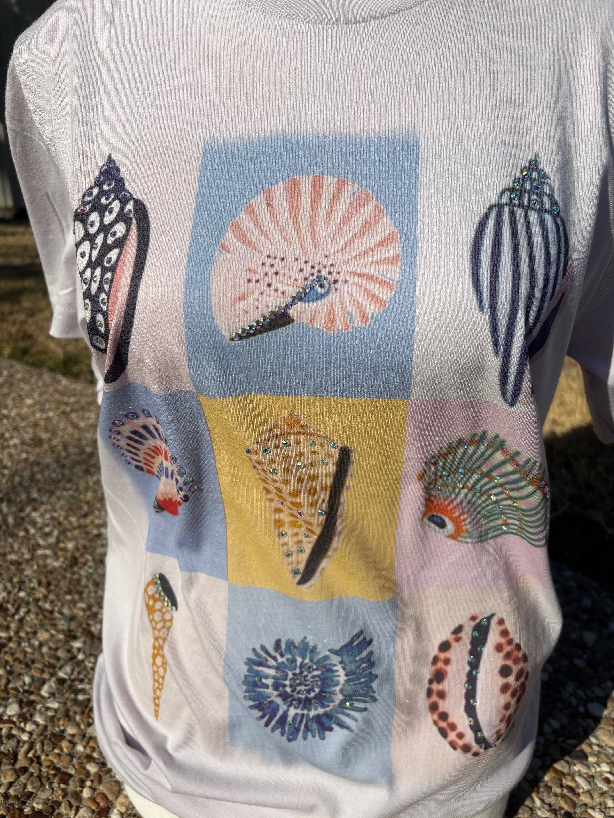 Sea Shells