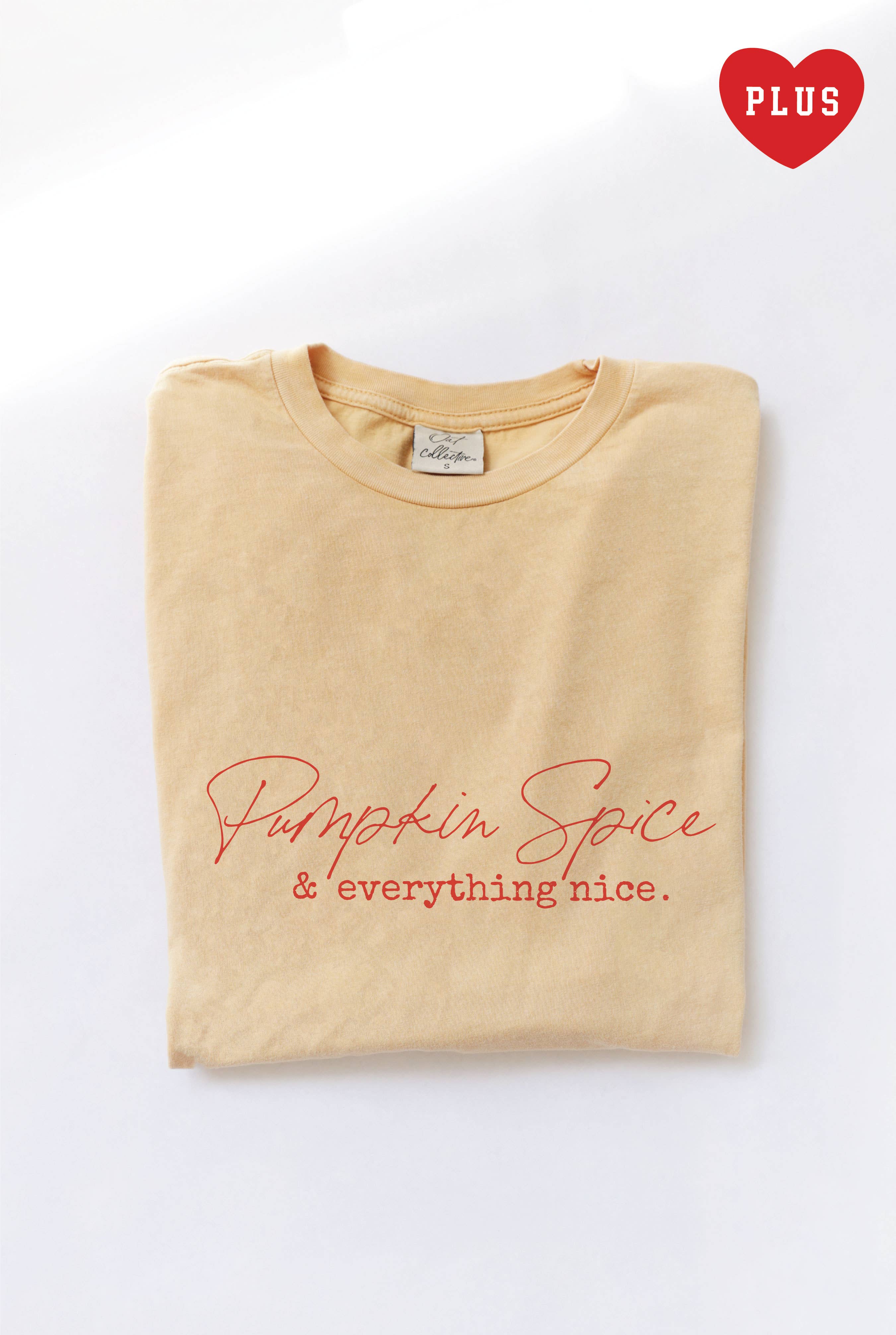 Pumpkin Spice and Everything Nice Plus Mineral Graphic Top