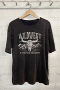 Wild West American Cowboy