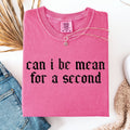 Can I Be Mean For A Second, Sassy, Funny, Sarcastic Tshirt