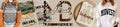 Moxie Brands
