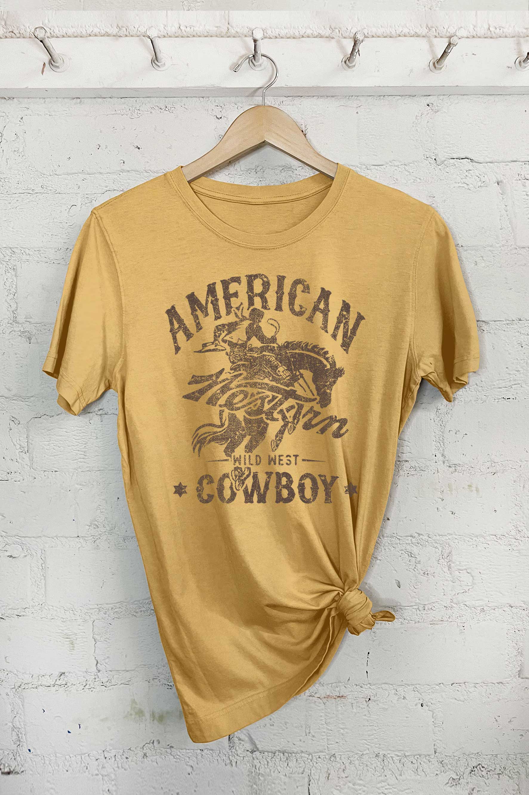 Wild West Cowboy