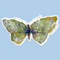 Green Butterfly Watercolor Sticker Decal