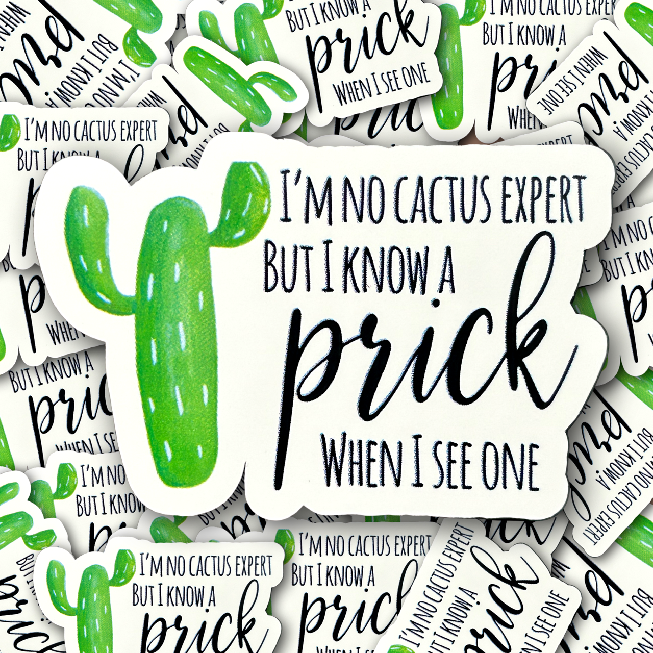 I'm No Cactus Expert Sticker