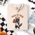 Raccoon, Trick or Treat, Cute, Halloween, Spooky T-Shirt