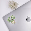 Watermelon Peperomia Sticker - House Plant Stickers