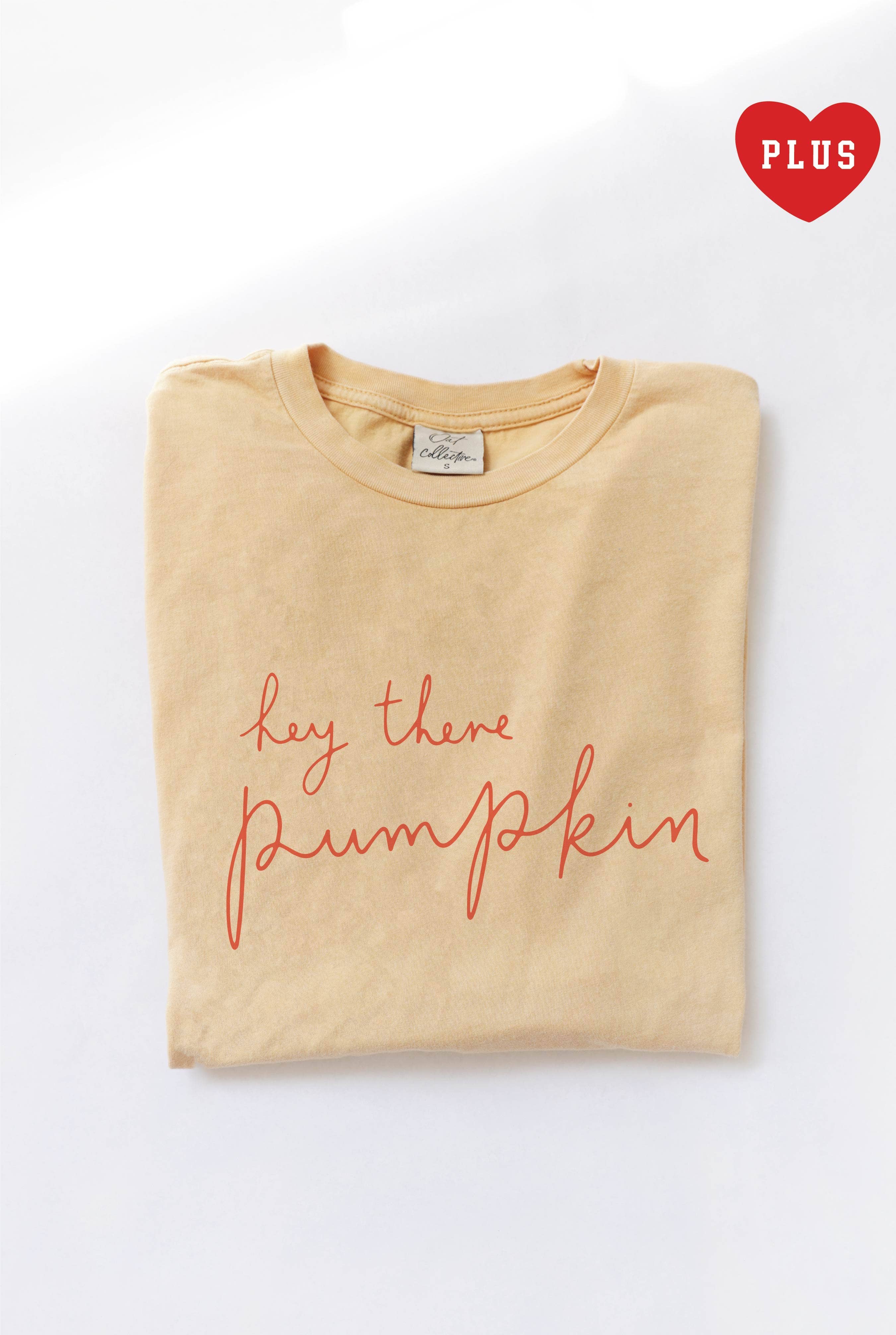Hey There Pumpkin Plus Mineral Graphic Top