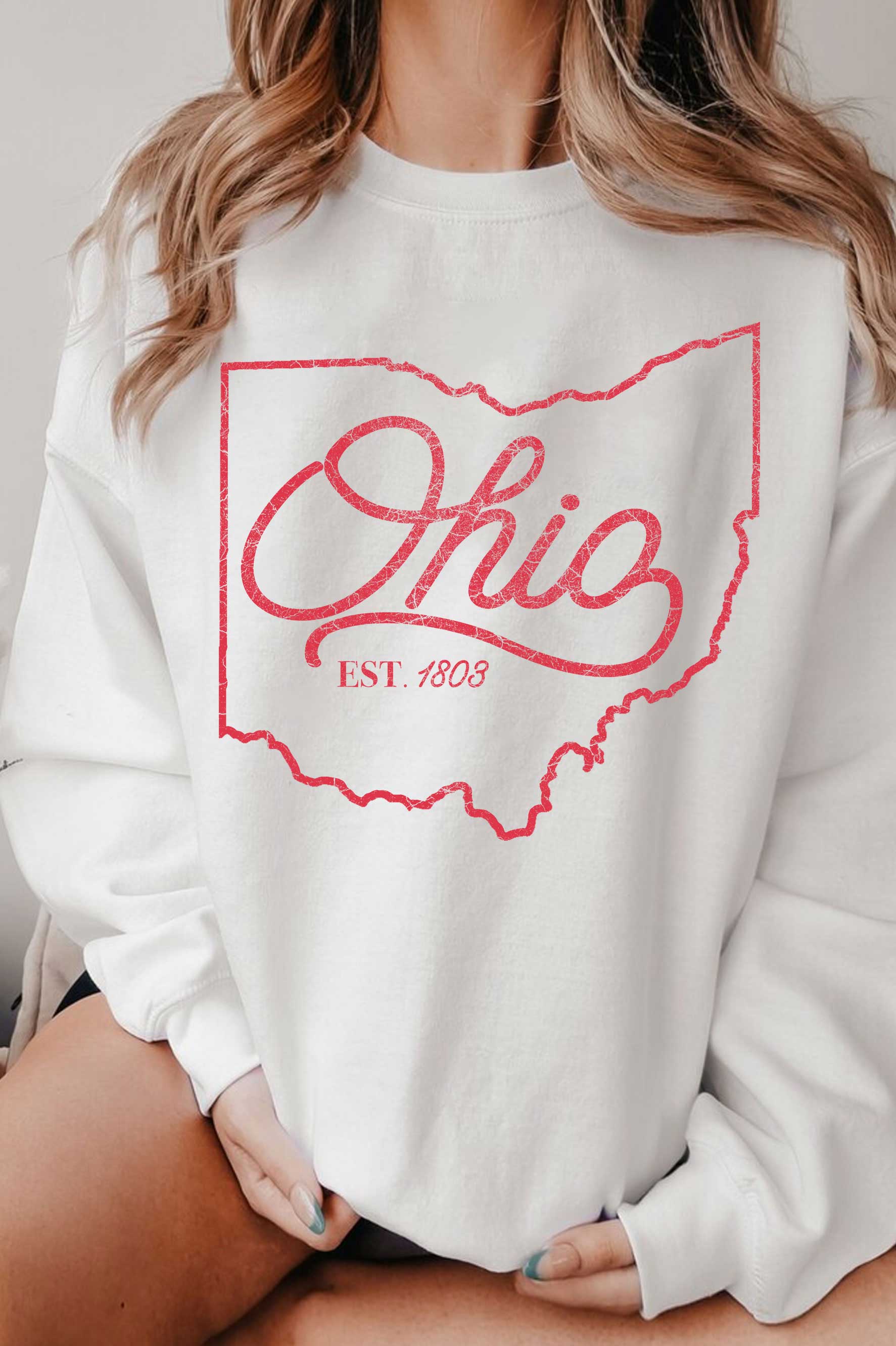 Ohio State Graphic Brushed Sweatshirts