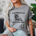 It Is What It Is and It Is Not Great, Raccoon, Meme, Aesthetic, Funny, Comfort Colors Tshirt