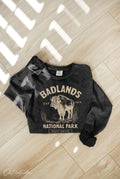 Badlands Mineral Washed Long Sleeve Graphic