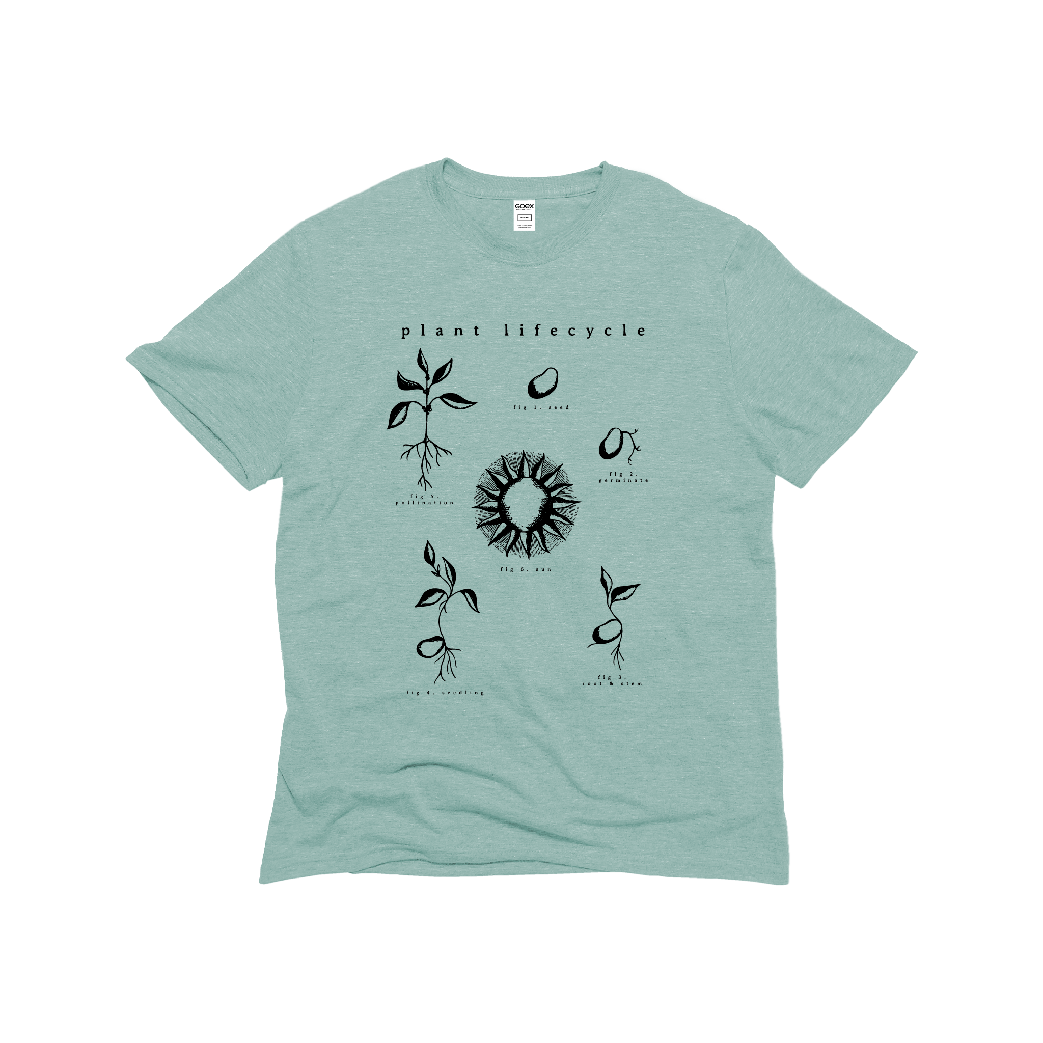 Plant Life Cycle Graphic Tee - Sage - 12pk