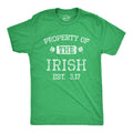Property of the Irish Men's T Shirt