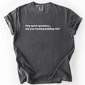 Hey Quick Question, Are You Kidding Me, Sarcastic T-Shirt
