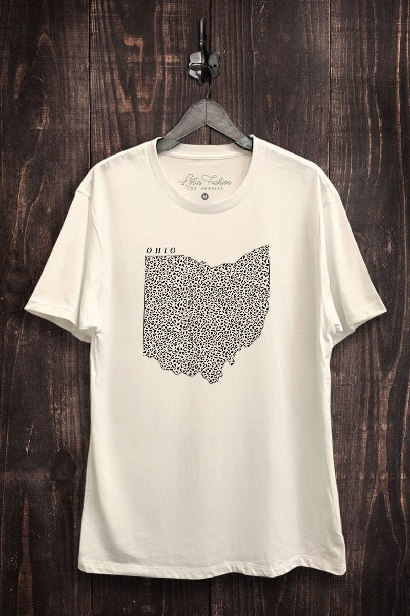 Ohio Map Graphic Top