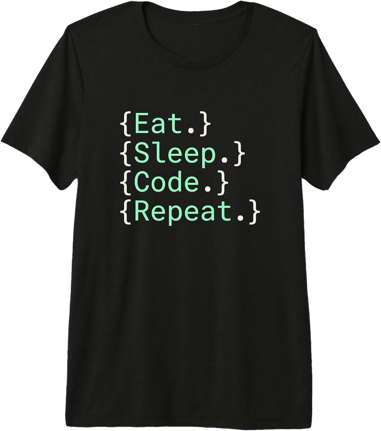 Computer Programming And Software Engineering