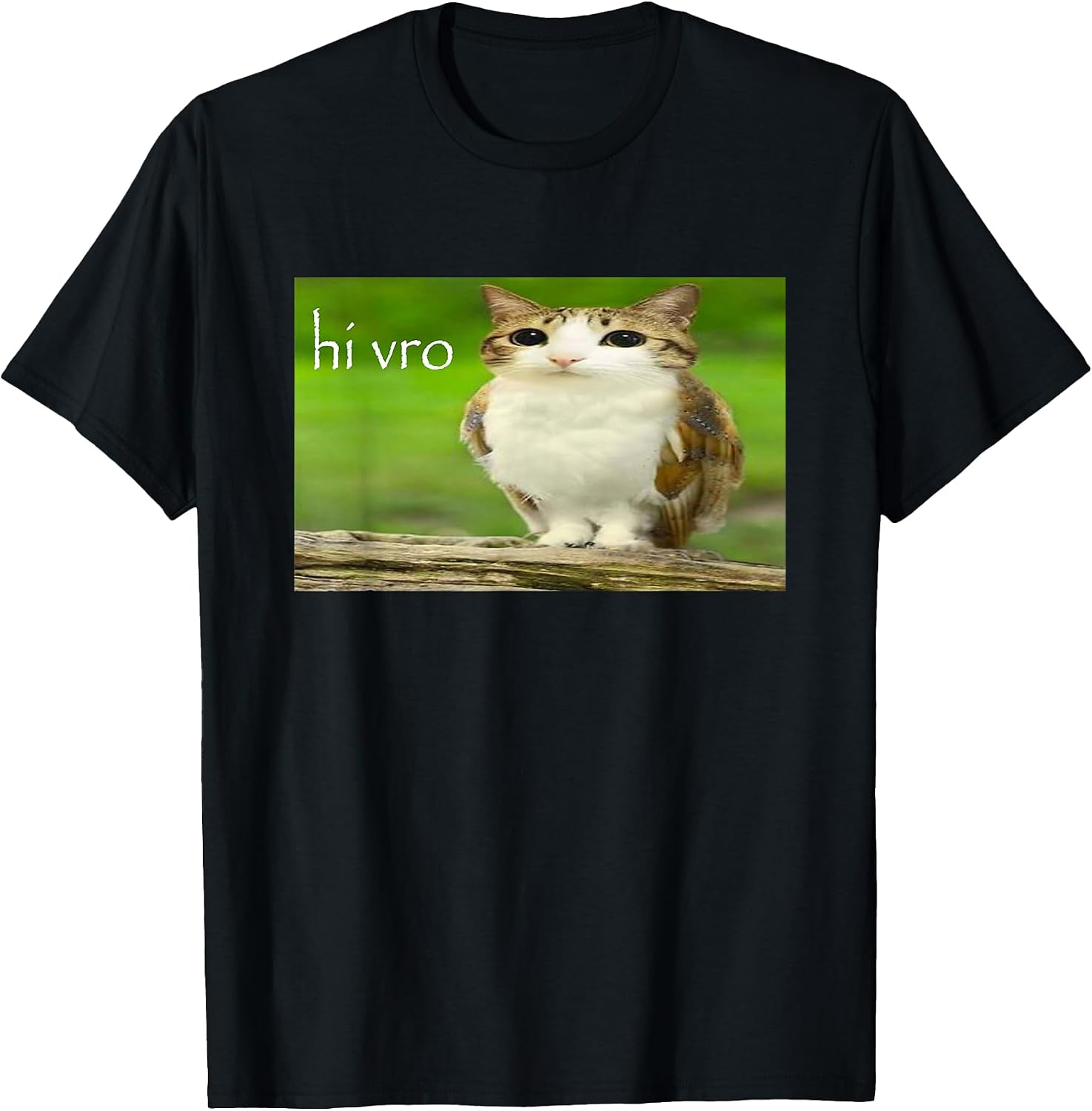 Funny Silly Cat Memes by The Meme Factory