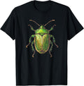 June Bug May July Beetles Scarab Beetle Insects