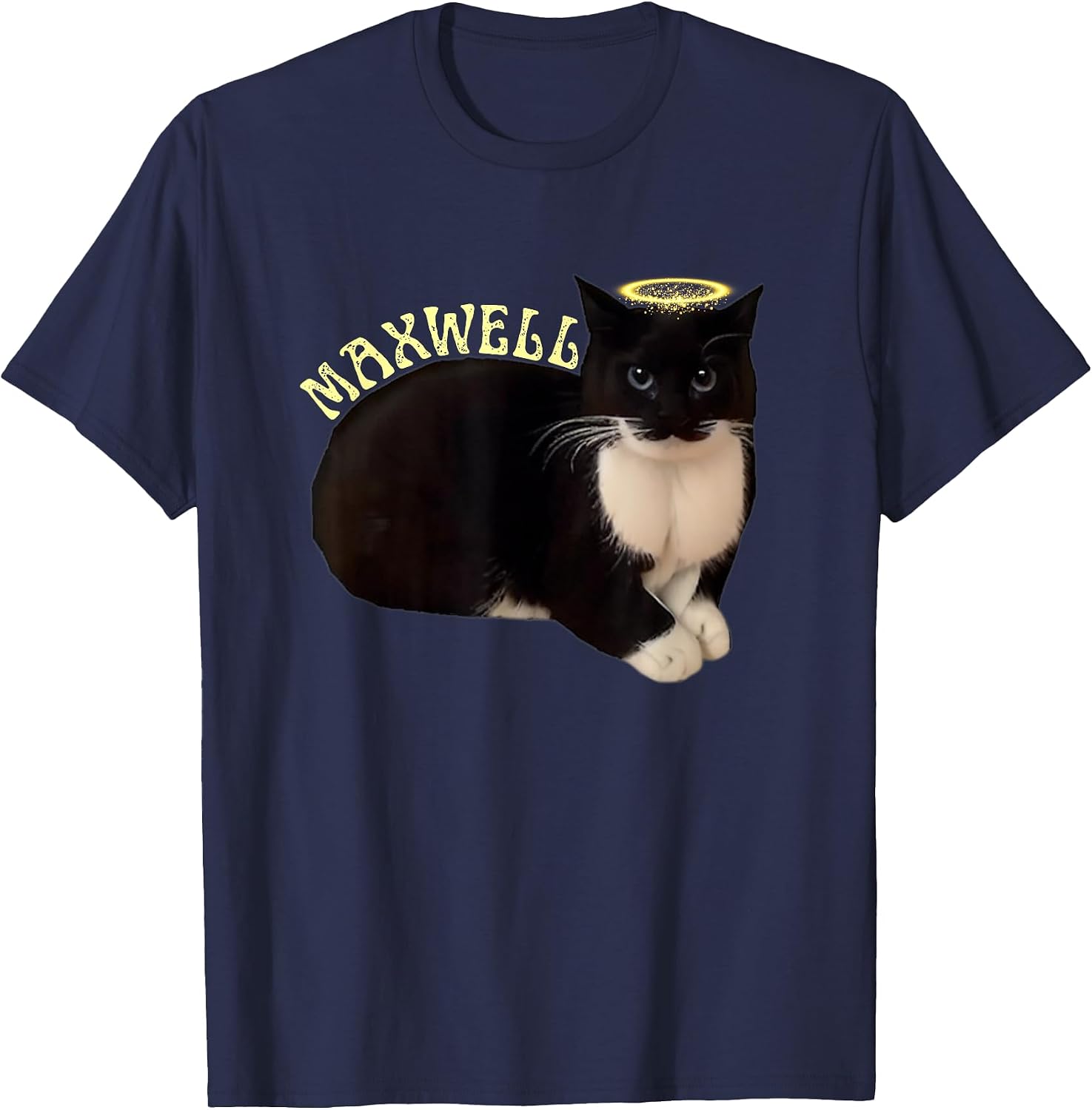 Maxwell Funny Spinning Cat Meme