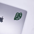 Monstera Adansonii Sticker