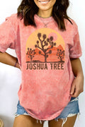 Joshua Tree - Mineral Wash Graphic Print Top