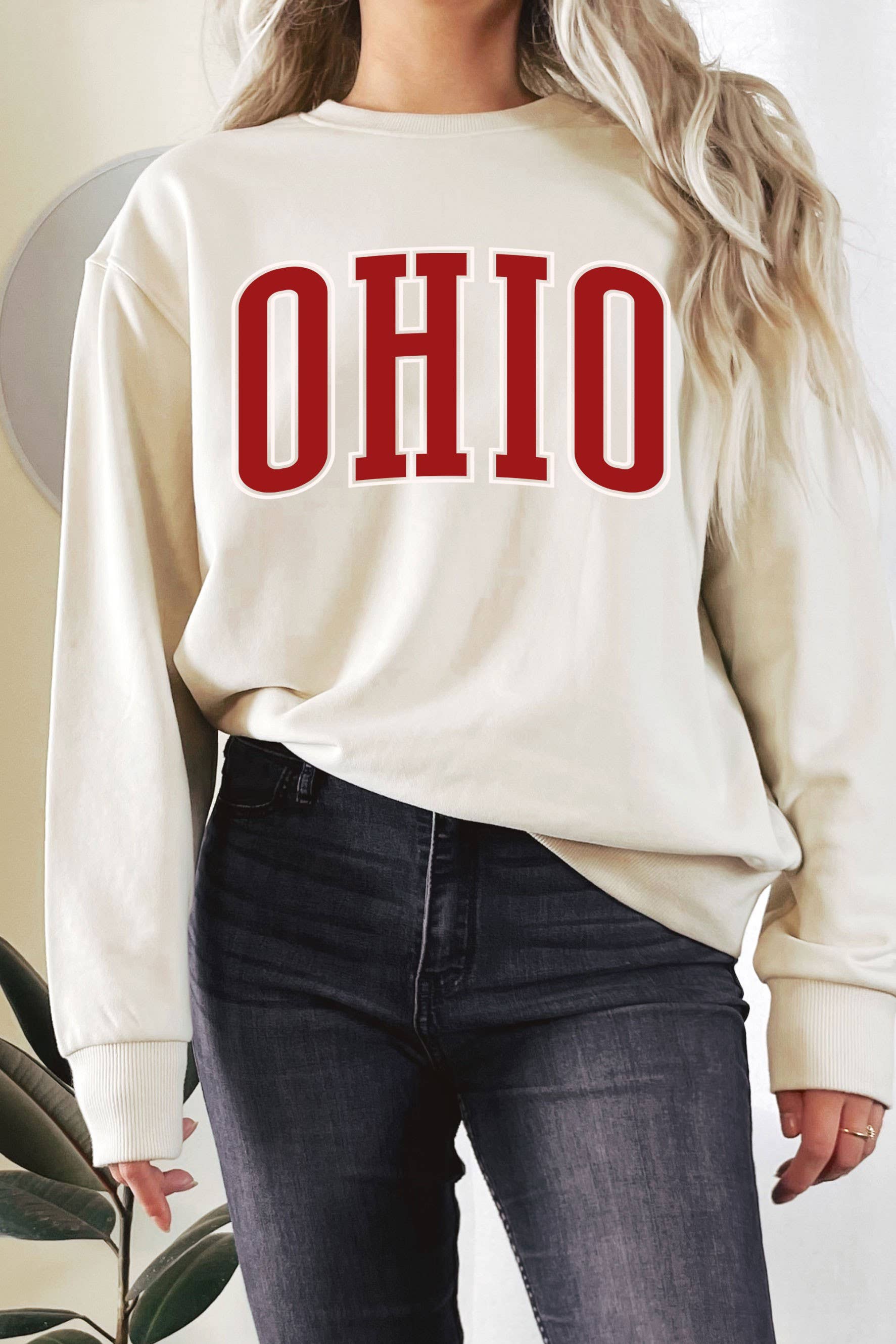 Ohio Puff Graphic Terry Sweatshirts