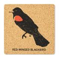 Redwing Blackbird Cork Coaster