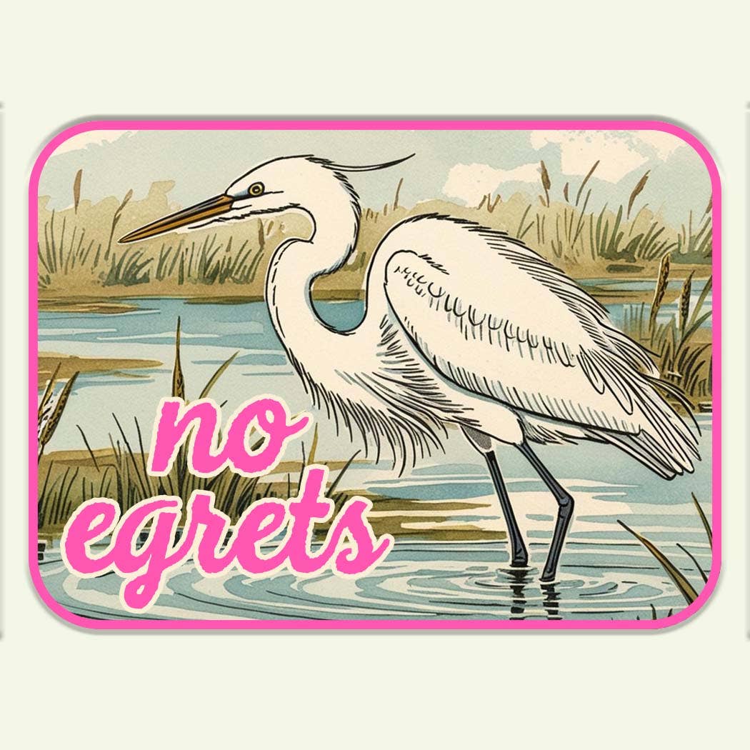 No Egrets Sticker Decal, Funny Sticker Decal, No Regrets