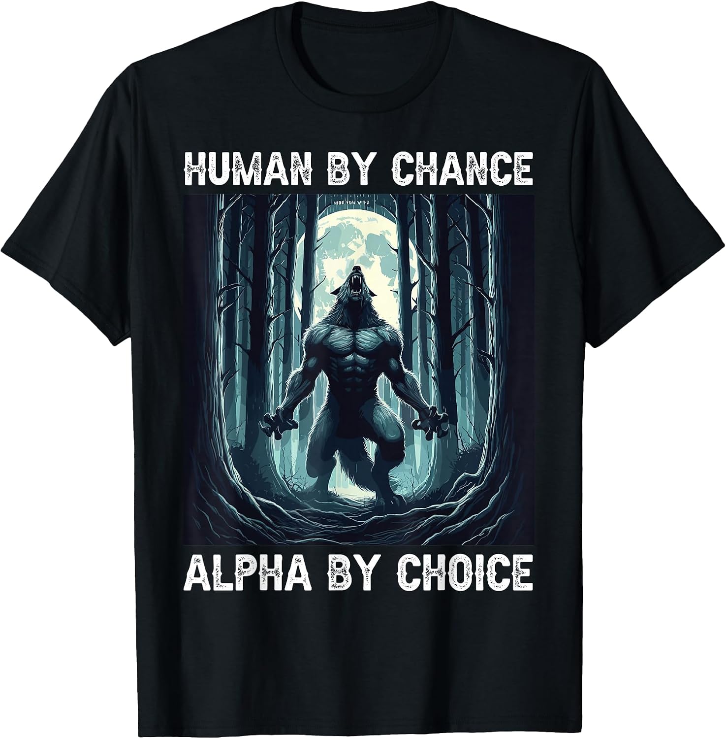 Cool Tees Memes