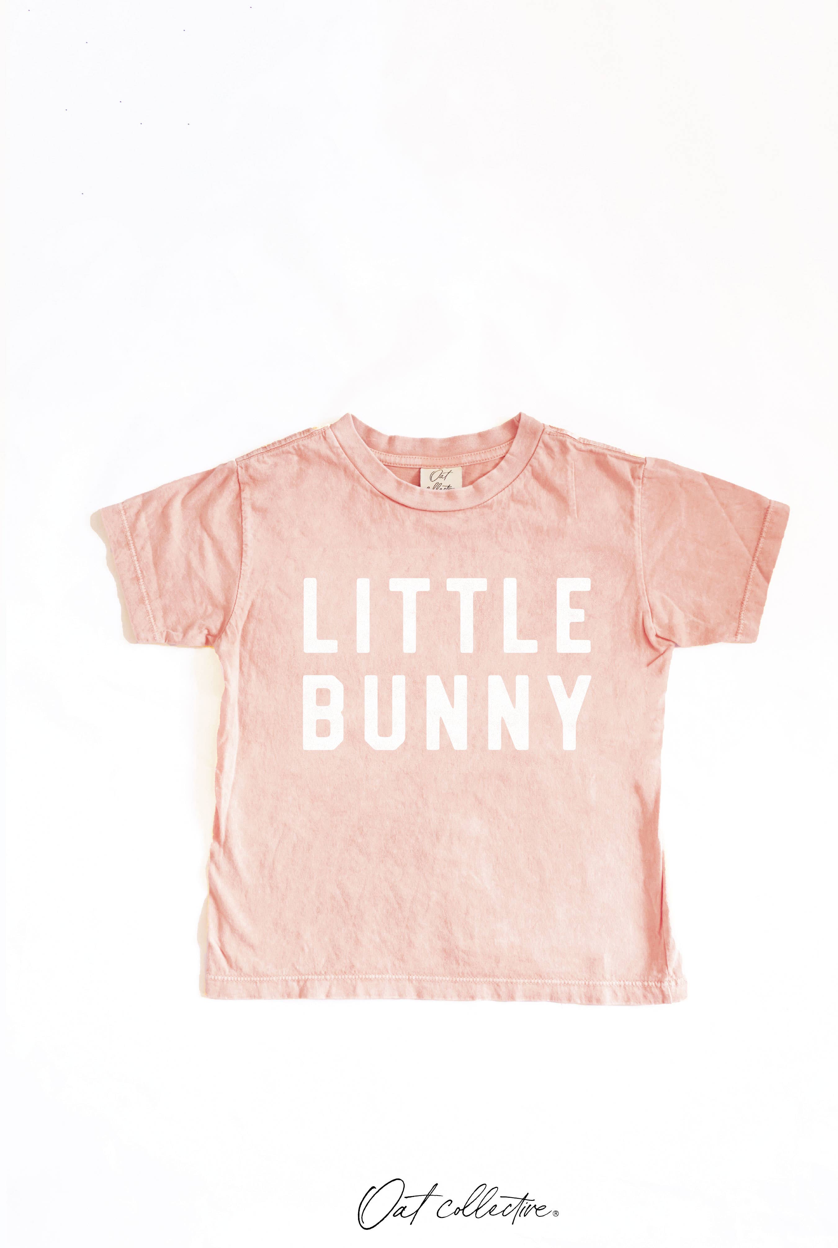 Little Bunny Toddler Washed Graphic Top