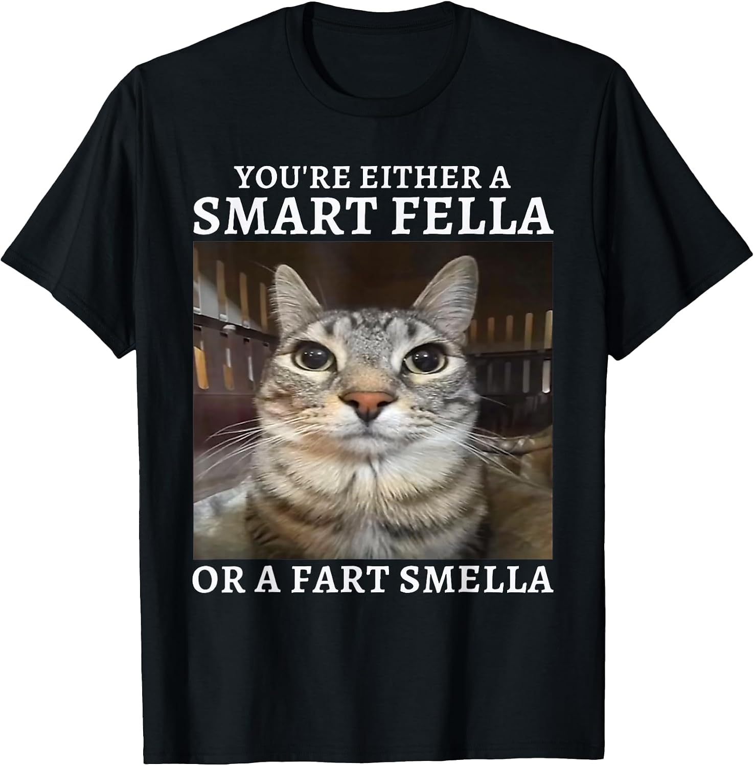Cat Meme Fella Fart Smella Shirt Funny Silly Tee