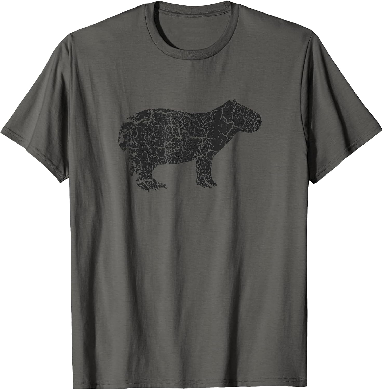 Vintage Capybara Merch and Gifts