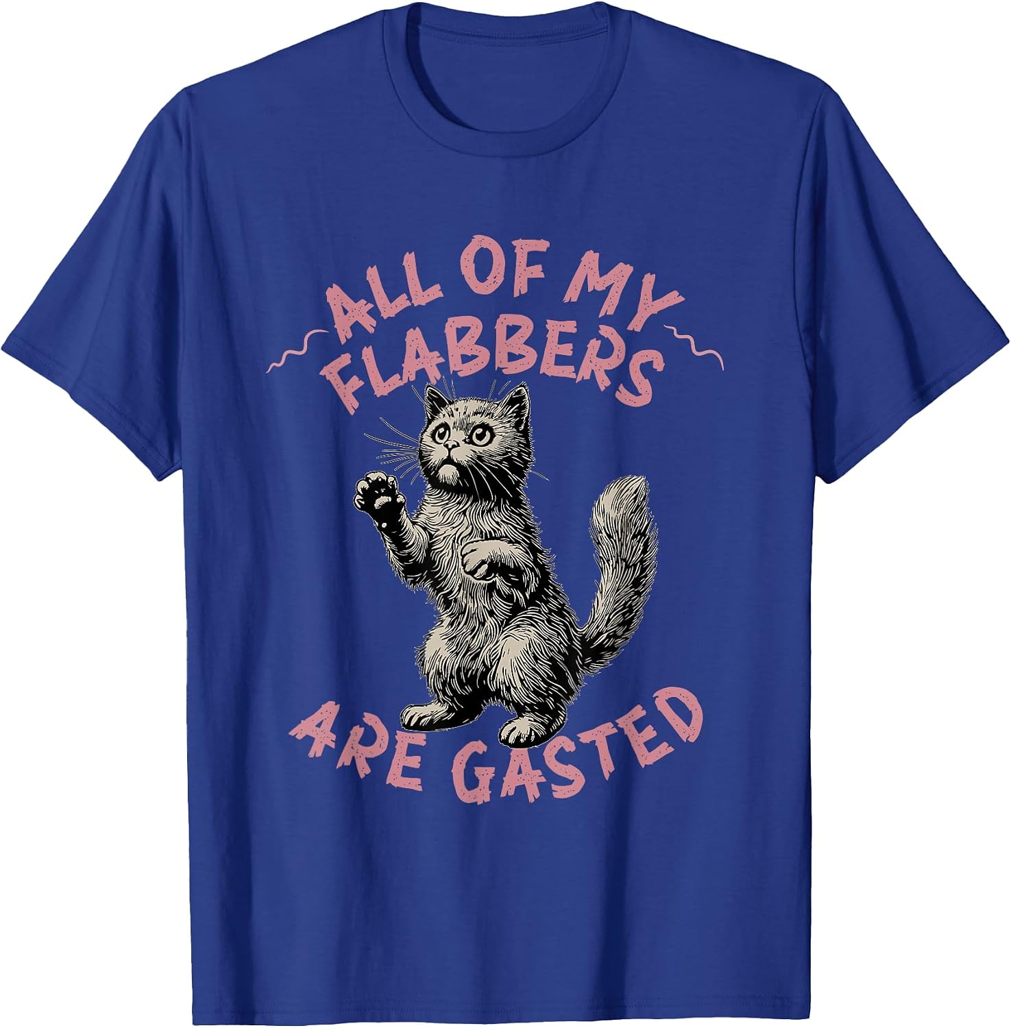 all of my flabbers are gasted Funny Raccoon Meme