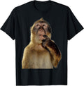 FUNNY Thinking Monkey MEME CUTE
