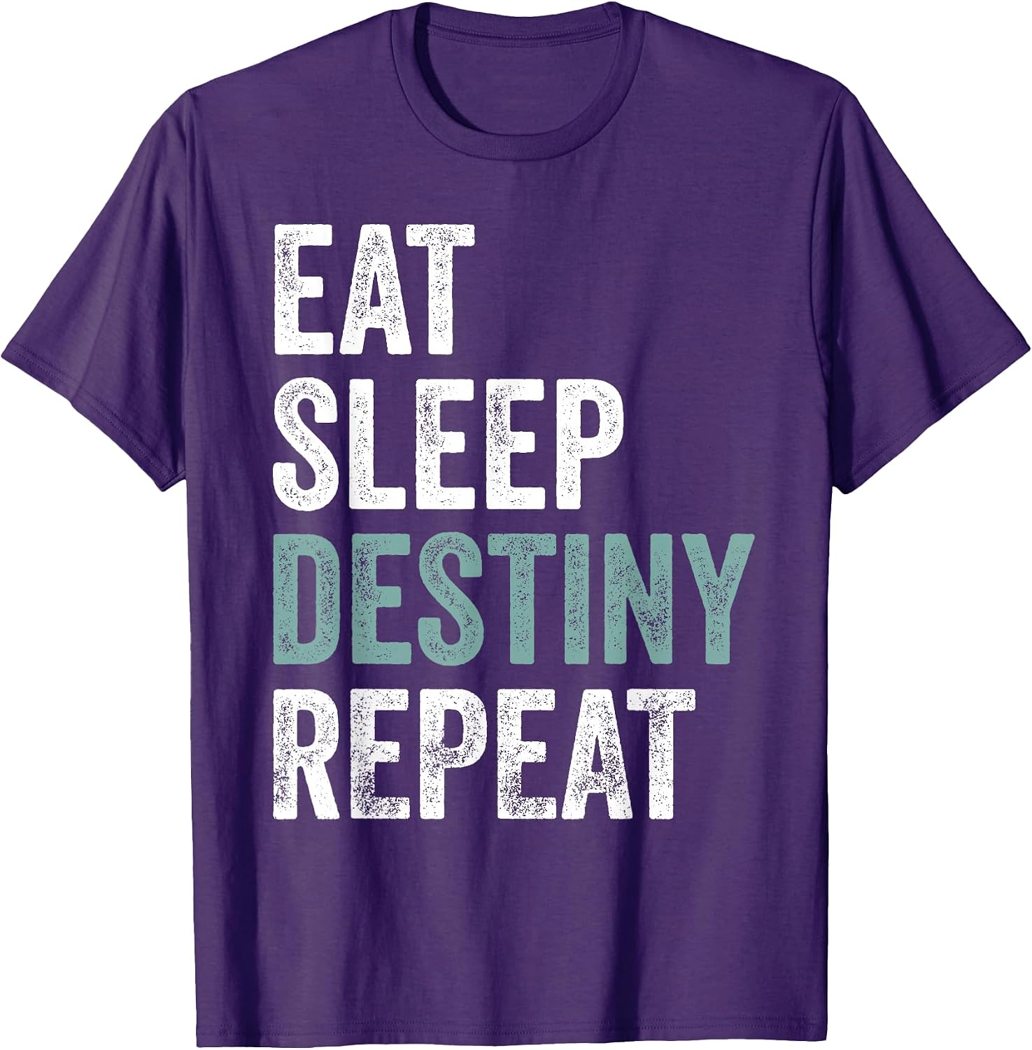 Eat Sleep Destiny Gifts Destiny Apparel Merch
