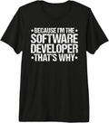 Software Developer Designs