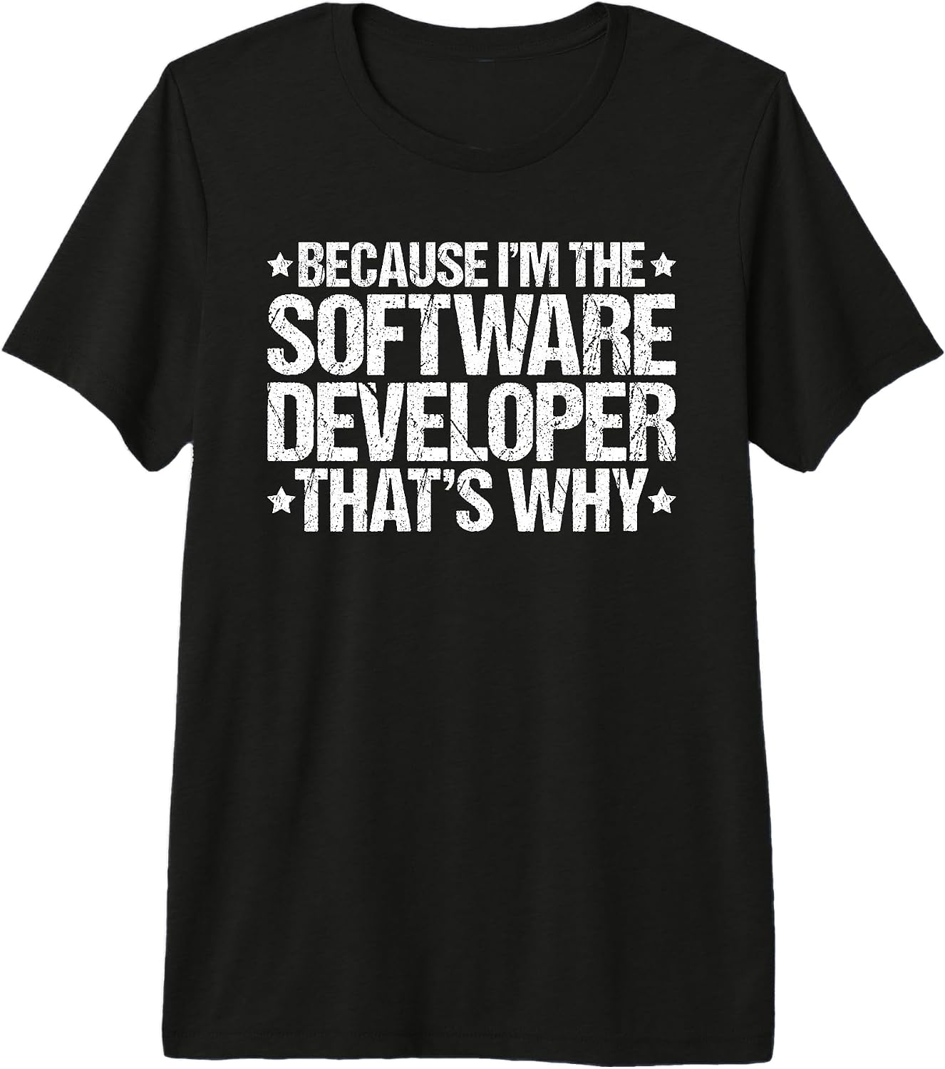 Software Developer Designs