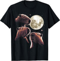 The Capybara Mountain