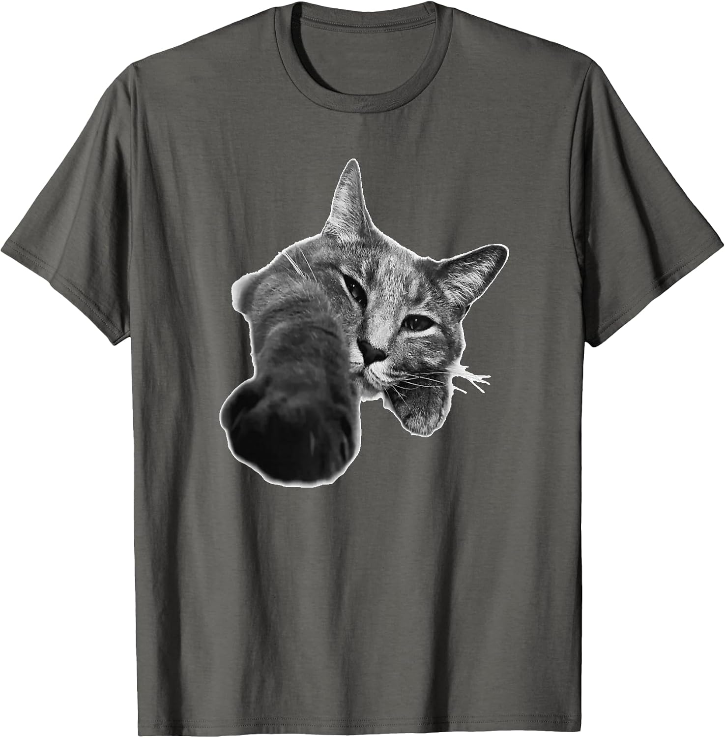 A fun gift for the owner of a lazy cat. Cats Rule!