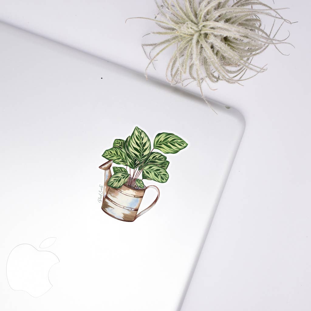 Calathea Clear Sticker - House Plant Stickers