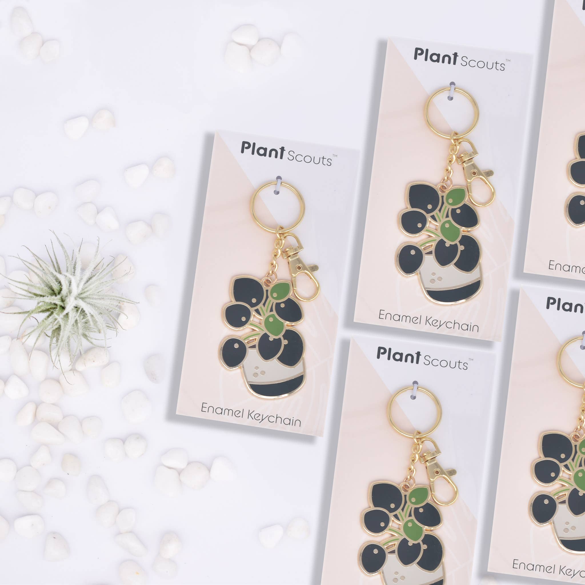 Pilea Keychain - Pilea Peperomioides - Chinese Money Plant