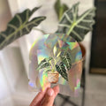 Suncatcher Window Decal Sticker Crystal - Alocasia