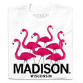 Madison Flamingos