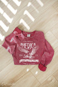Welcome To America Mineral Washed Long Sleeve Graphic