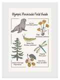 Olympic Peninsula Field Guide Post Card