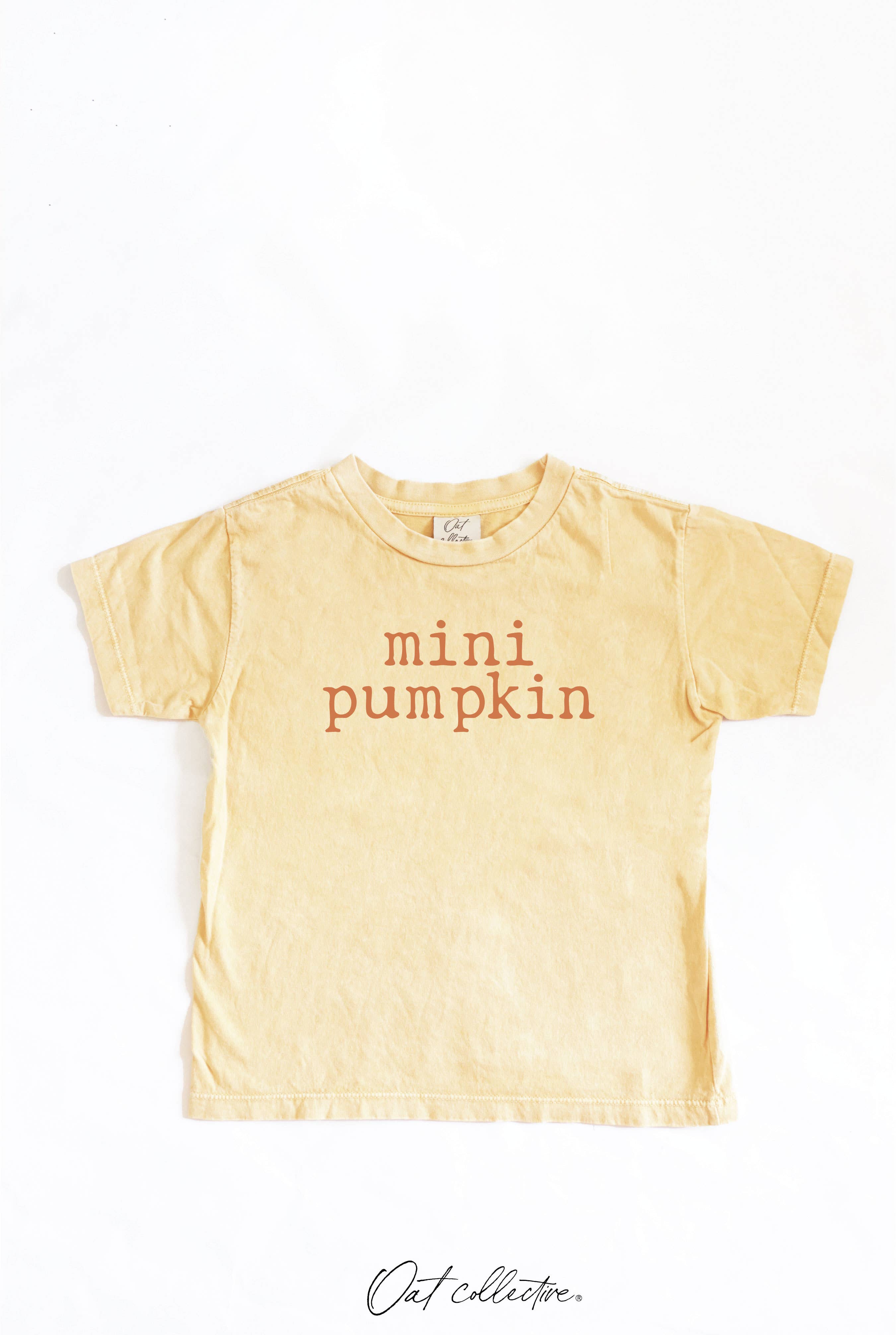 Mini Pumpkin Toddler Washed Graphic Top