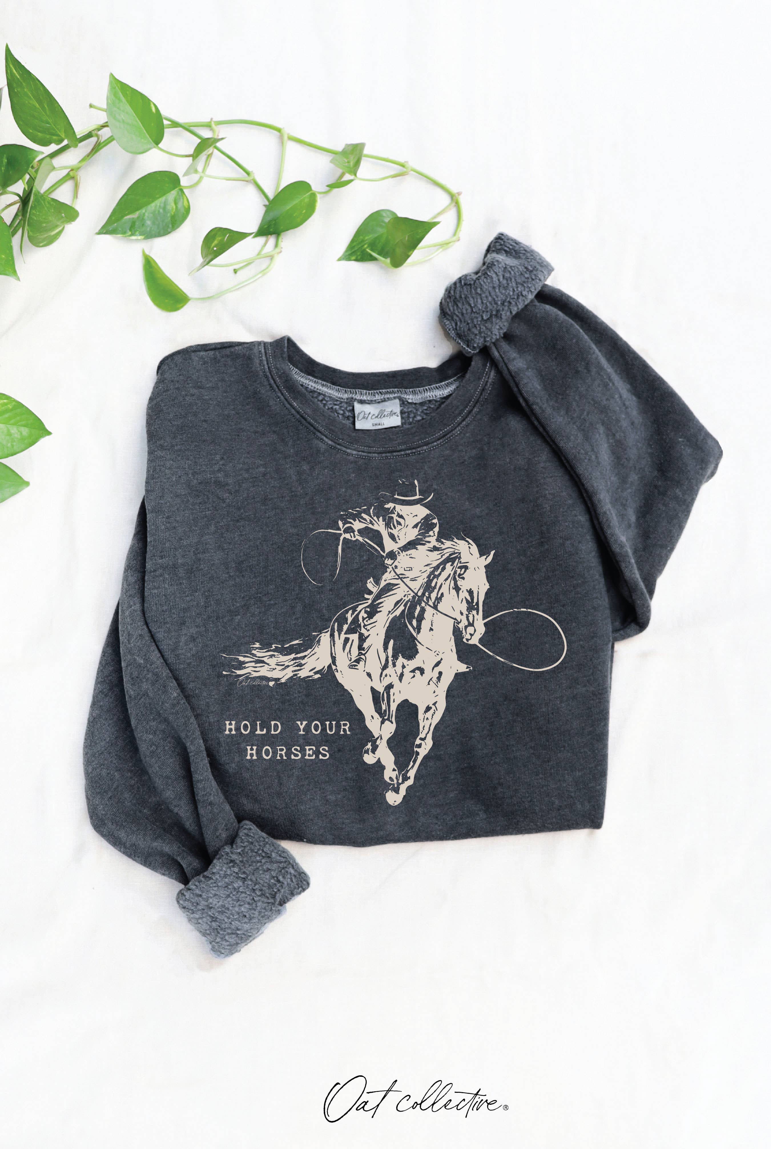 Hold Your Horses Mineral Graphic Sweatshirt